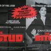 British Quad Poster - The Stud / The Bitch
Added: 15/3/2012